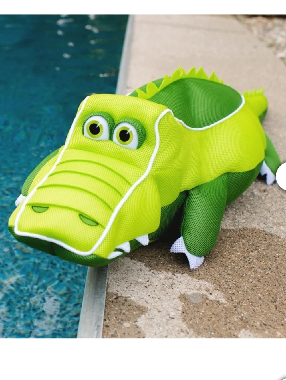 Big Joe Pool Petz Kid's Pool Float, Large